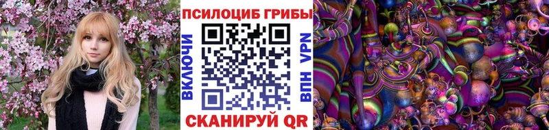 Галлюциногенные грибы прущие грибы Правдинск