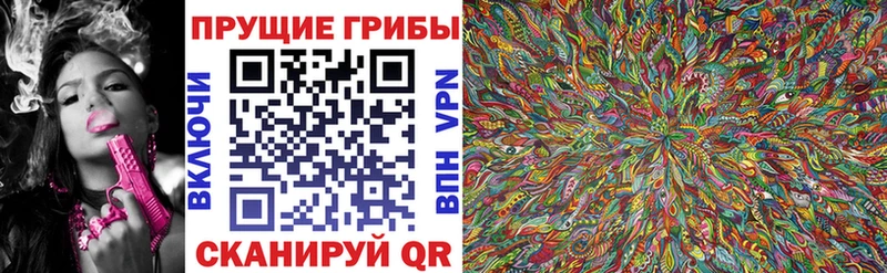 наркотики  Правдинск  Псилоцибиновые грибы Magic Shrooms 